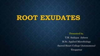 ROOT EXUDATES
Presented by,
T.M. Sadiqua Jabeen
M.Sc. Applied Microbiology
Sacred Heart College (Autonomous)
Tirupattur
 