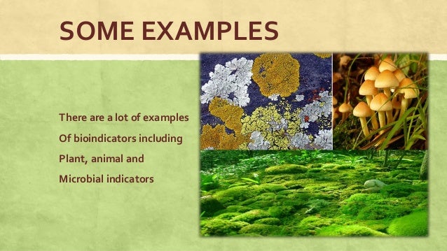 Environmental buffers