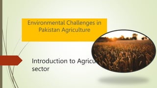 Introduction to Agriculture
sector
Environmental Challenges in
Pakistan Agriculture
 