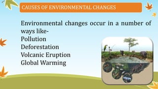 CAUSES OF ENVIRONMENTAL CHANGES
Environmental changes occur in a number of
ways like-
Pollution
Deforestation
Volcanic Eruption
Global Warming
 