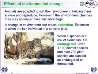 Impact of Environmental Change on Species Extinction and Biodiversity ...