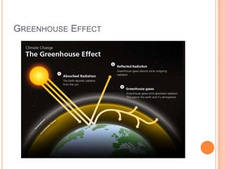GREENHOUSE EFFECT

 