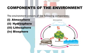 COMPONENTS OF THE ENVIRONMENT
The environment consists of the following components:
(i) Atmosphere
(ii) Hydrosphere
(iii) Lithosphere
(iv) Biosphere
 