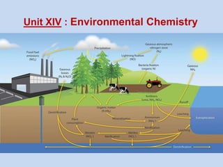 Unit XIV : Environmental Chemistry
 