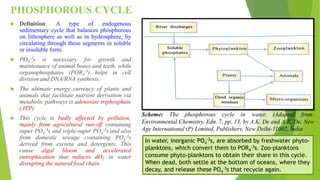 Environmental Segments and Natural/Biogeochemical cycles | PPT