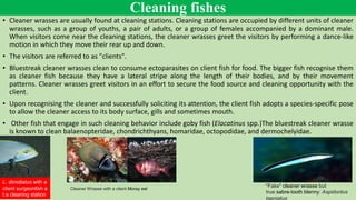 Aquatic Environment cleaning major fishes by B | PDF