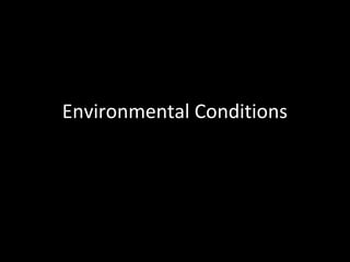Environmental Conditions

 
