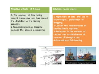 Negative effects of fishing          Solutions ( once more)

1- The amount of fish being
                                     1-Regulation of arts and use of
caught is excessive and has caused
                                     technologies , prohibition of
the depletion of the fishing –
                                     dragging
grounds.
                                     2-Control the minimum size of
2-Tecnologies such as dragging
                                     species that is captured
damage the aquatic ecosystems
                                     3-Reduction in the number of
                                     catches and establishment of
                                     seasons of biological rest.
                                     4-Promotion of fish-farming
 