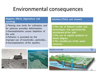 Environmental consequences
Negative Effects (Agriculture and              Solutions (Think and answer)
ranching)
1-Plowing new lands for cultivation and
                                               1-The use of Natural credits and
for pastures provokes deforestation
                                               technologies that guarantee the
2-Overexploitation causes depletion of
                                               enrichment of the soils
the soils.
                                               2-The use of organic products to
3-Pollution is provoked by the
                                               attack plagues
improper use of insecticides , pesticides...
                                               3-The sensible use of the water
4-Overexploitation of the aquifers.
                                               resources
 