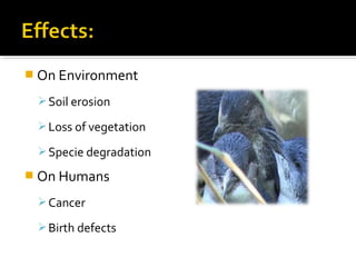  On Environment
Soil erosion
Loss of vegetation
Specie degradation
 On Humans
Cancer
Birth defects
 