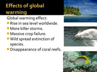 Global warming effect:
 Rise in sea level worldwide.
 More killer storms.
 Massive crop failure.
 Wild spread extinction of
species.
 Disappearance of coral reefs.
 