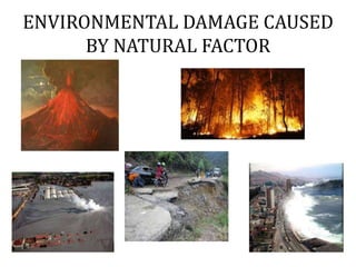 ENVIRONMENTAL DAMAGE CAUSED
BY NATURAL FACTOR
 