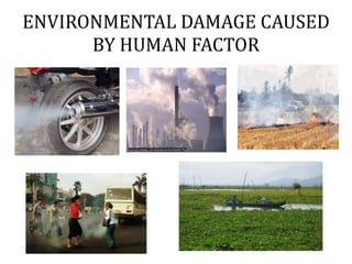 ENVIRONMENTAL DAMAGE CAUSED
BY HUMAN FACTOR
 