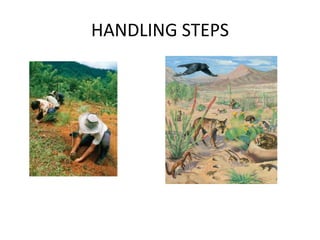 HANDLING STEPS
 