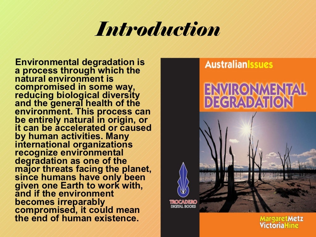 what is environmental degradation essay