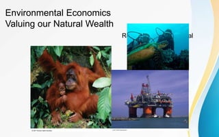 Environmental Economics
Valuing our Natural Wealth
Rene Rafael B. Juntereal
 