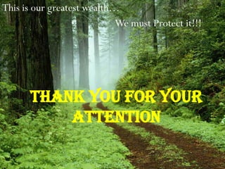 This is our greatest wealth…
                            We must Protect it!!!




      THANK YOU FOR YOUR
          ATTENTION
 