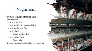 Veganism
• Animals should be treated with
compassion
• Not enslaved
• Not made into commodities
• Not made to suffer
• Not killed
• Meat, leather, fur
• Not stolen from
• Eggs, milk
• Animals are sentient and deserve respect
 