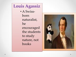 Louis Agassiz
• A Swiss-
born
naturalist,
he
encouraged
the students
to study
nature, not
books
 