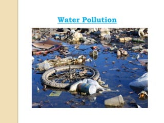 Water Pollution
 