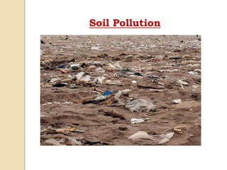 Soil Pollution
 