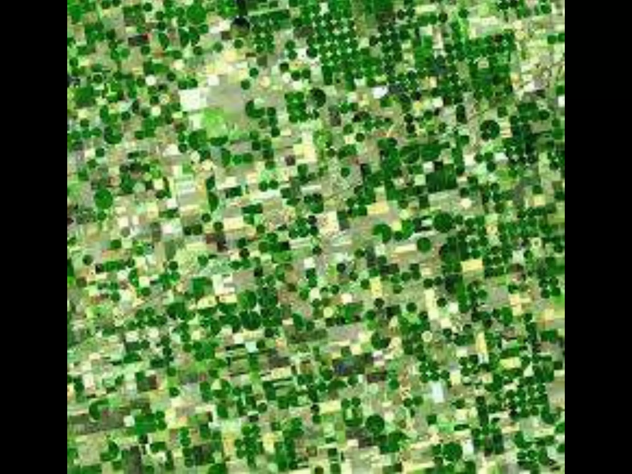 Environmental effects of agro industrialization