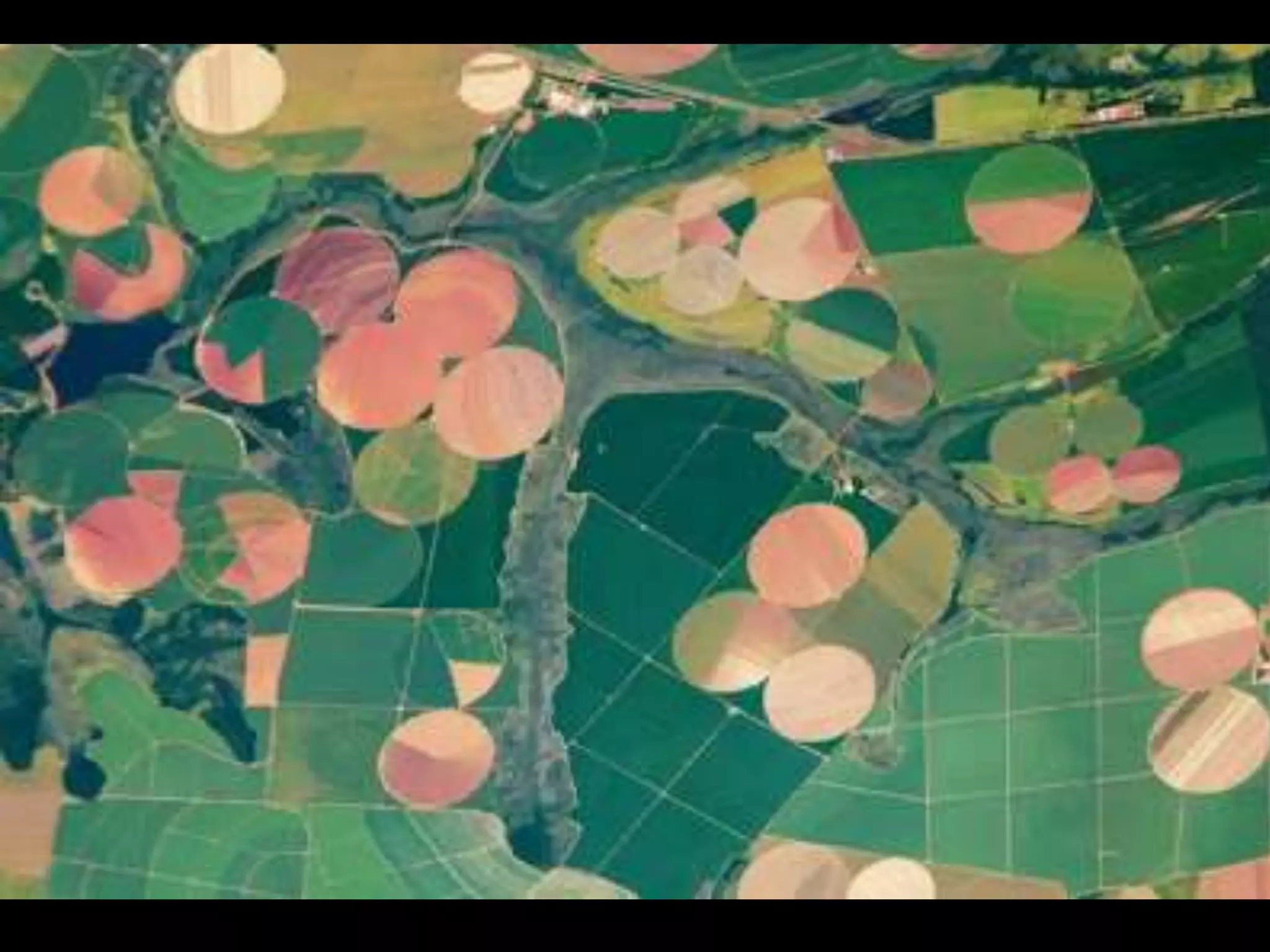 Environmental effects of agro industrialization