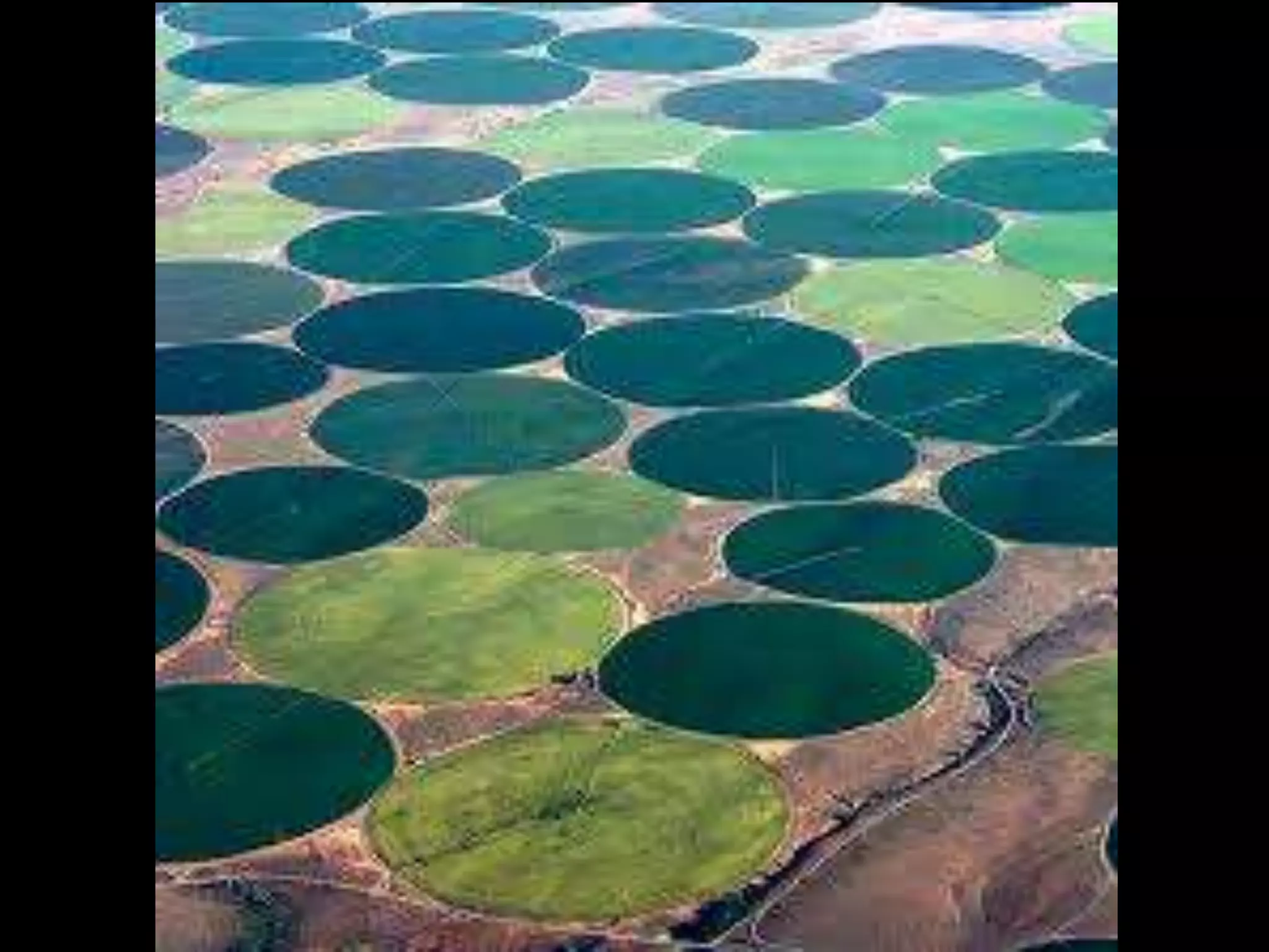 Environmental effects of agro industrialization