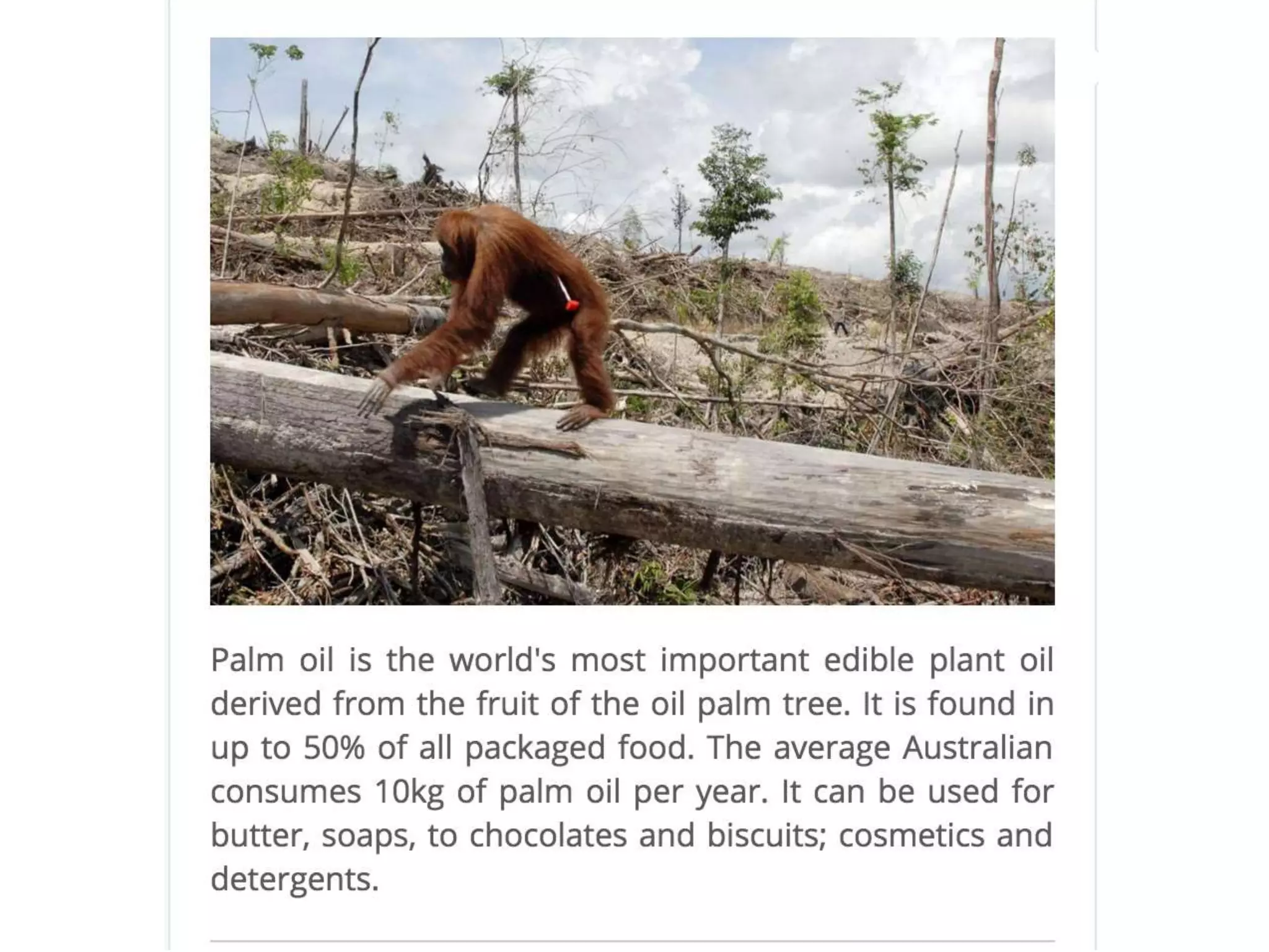 Environmental effects of agro industrialization