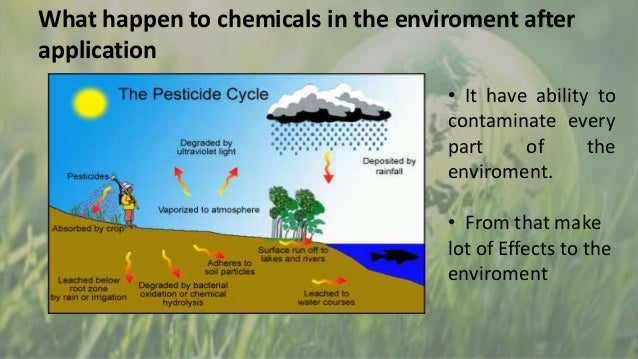 Pesticides The Environment And Its Effects On