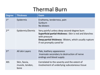 Thermal Burn
Degree

Thickness

Exam

1st

Epidermis

Erythema, tenderness, pain
Sunburn
No blisters

2nd

Epidermis/Dermis

Very painful unless deep second-degree burn
Superficial partial thickness : Skin is red and blanches
with pressure
Deep partial thickness: Blisters, which usually rupture
if not promptly cared for

3rd

All skin Layers

Pale, leathery appearance
Insensate secondary to destruction of nerve
endings and blood supply

4th

Skin, fascia,
muscle, tendon,
bone

Correlated to the severity and the extent of
involvement of underlying subcutaneous tissue

 