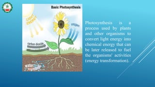 Photosynthesis is a
process used by plants
and other organisms to
convert light energy into
chemical energy that can
be later released to fuel
the organisms' activities
(energy transformation).
 