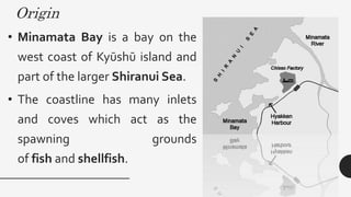 Origin
• Minamata Bay is a bay on the
west coast of Kyūshū island and
part of the larger Shiranui Sea.
• The coastline has many inlets
and coves which act as the
spawning grounds
of fish and shellfish.
 