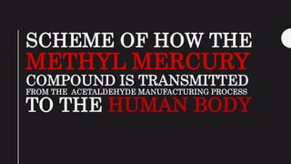SCHEME OF HOW THE
METHYL MERCURY
COMPOUND IS TRANSMITTED
FROM THE ACETALDEHYDE MANUFACTURING PROCESS
TO THE HUMAN BODY
 