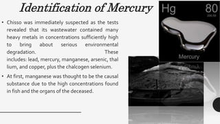 Identification of Mercury
• Chisso was immediately suspected as the tests
revealed that its wastewater contained many
heavy metals in concentrations sufficiently high
to bring about serious environmental
degradation. These
includes: lead, mercury, manganese, arsenic, thal
lium, and copper, plus the chalcogen selenium.
• At first, manganese was thought to be the causal
substance due to the high concentrations found
in fish and the organs of the deceased.
 