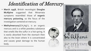 Identification of Mercury
• March 1958, British neurologist Douglas
McAlpine suggested that Minamata
symptoms resembled those of organic
mercury poisoning, so the focus of the
investigation centered on mercury.
• Methylmercury([CH3Hg]+), is an organic
mercury and is a white powdery substance
that smells like the sulfur in a hot spring. It
is easily absorbed from the stomach then
also to the brain where it is concentrated
and causes great damage to the human
body.
 