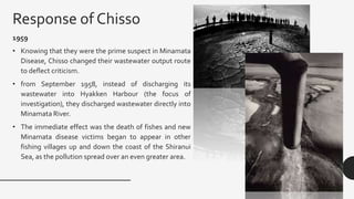 Response of Chisso
1959
• Knowing that they were the prime suspect in Minamata
Disease, Chisso changed their wastewater output route
to deflect criticism.
• from September 1958, instead of discharging its
wastewater into Hyakken Harbour (the focus of
investigation), they discharged wastewater directly into
Minamata River.
• The immediate effect was the death of fishes and new
Minamata disease victims began to appear in other
fishing villages up and down the coast of the Shiranui
Sea, as the pollution spread over an even greater area.
 