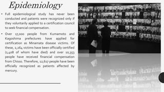 Epidemiology
• Full epidemiological study has never been
conducted and patients were recognized only if
they voluntarily applied to a certification council
to seek financial compensation.
• Over 17,000 people from Kumamoto and
Kagoshima prefectures have applied for
certification as Minamata disease victims. Of
these, 2,264 victims have been officially certified
(1,408 of whom have died) and over 10,353
people have received financial compensation
from Chisso. Therefore, 12,617 people have been
officially recognized as patients affected by
mercury.
 