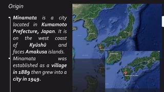 Origin
• Minamata is a city
located in Kumamoto
Prefecture, Japan. It is
on the west coast
of Kyūshū and
faces Amakusa islands.
• Minamata was
established as a village
in 1889 then grew into a
city in 1949.
 