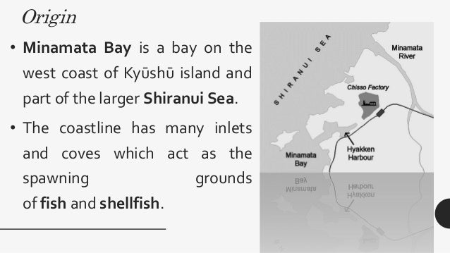 Minamata disease statistics image