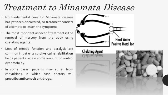 Minamata disease case study ppt image
