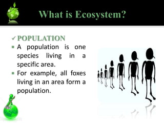  POPULATION
 A population is       one
    species living    in a
    specific area.
   For example, all foxes
    living in an area form a
    population.
 