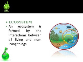    ECOSYSTEM
   An ecosystem is
    formed       by  the
    interactions between
    all living and non-
    living things
 