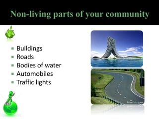    Buildings
   Roads
   Bodies of water
   Automobiles
   Traffic lights
 