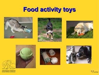 Food activity toys 