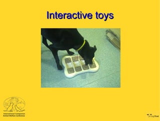 Interactive toys 