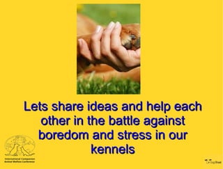 Lets share ideas and help each other in the battle against boredom and stress in our kennels 