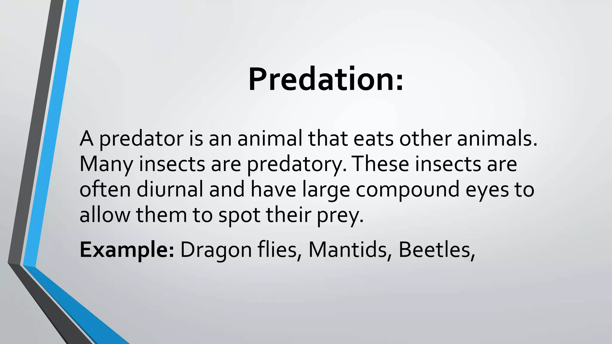 Predation:
A predator is an animal that eats other animals.
Many insects are predatory.These insects are
often diurnal and have large compound eyes to
allow them to spot their prey.
Example: Dragon flies, Mantids, Beetles,
 