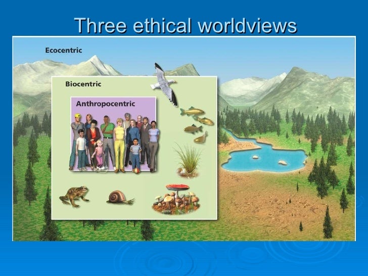 Environmental Ethics Environmental ethics