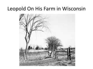 Leopold On His Farm in Wisconsin
